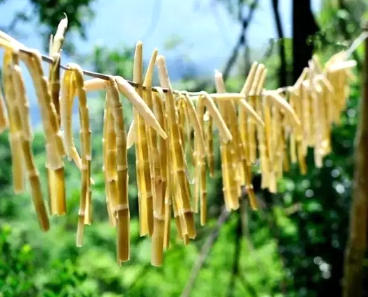 吃春笋，，，，，不可辜负的至鲜皖味